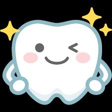 安佐北区 歯医者 犬歯の役割②「かみ合わせを守る」