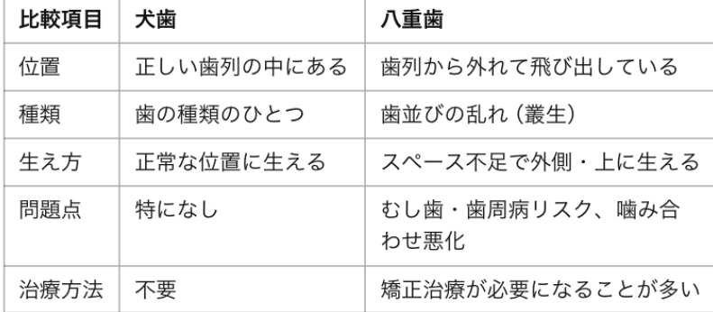 安佐北区　歯医者　犬歯と八重歯の違い