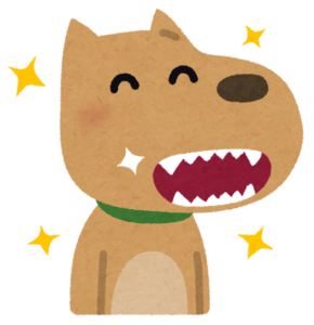 安佐北区　歯医者　犬歯が生える時期