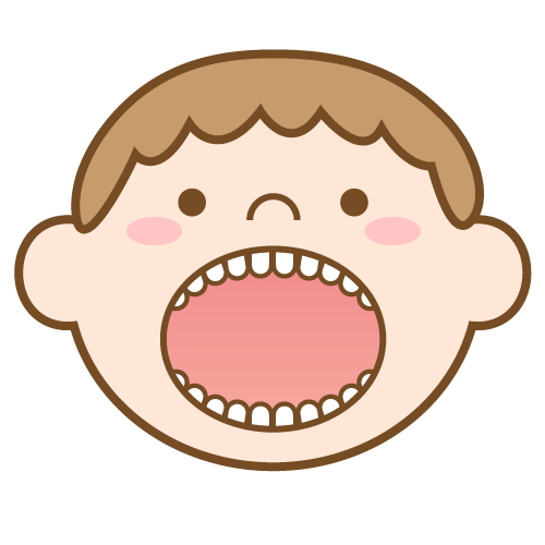 安佐北区 歯医者 乳歯が生える時期と本数