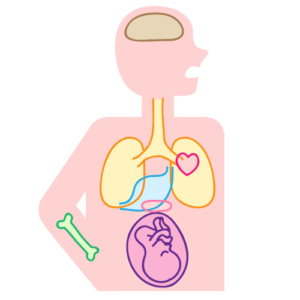 安佐北区　歯医者　歯周病が引き起こす全身への影響